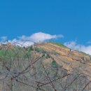 삼팔선의봄 이미지