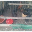 은덕농장 이미지