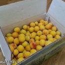 다압농협협동조합 이미지