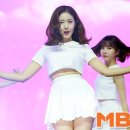 신비 카카오 검색결과