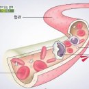 항암 치료중 환자가 알아야 하는 백혈구와 호중구 수치 이미지