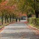 동락파크골프장 이미지