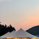 제주 와일드 이미지