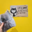 크로스핏 골드 타운 이미지