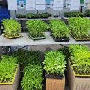 수레로150 이미지