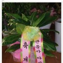 홍삼가게 - 화성시 | 홍삼가게