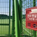 천마풋살파크