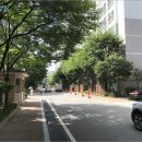 등촌2동163 이미지