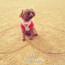 보비동물병원 이미지