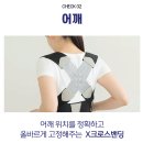 바르게 세탁 | 🧍‍♀️ 하루 2시간, 당신의 척추가 바르게 선다