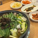 풍암능이버섯백숙 | 내돈내산 후기 풍암동 “능이버섯백숙” 삼계탕 맛집🐔