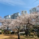 아름드리축산