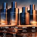엘릭서월드 | 대전 둔산동 갤러리아 백화점 디올 소바쥬 엘릭서 구매 솔직 후기 - 지속력 끝판왕 남자 향수 추천