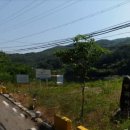 김해김씨 열녀문 이미지