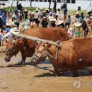 겨리