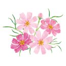 아름다운밀양농장 이미지