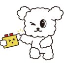 진에듀주