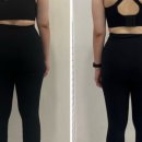 바디프로짐 이미지