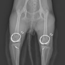 다나은동물병원 이미지