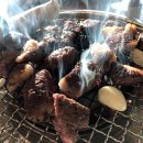 둥지식당 티스토리