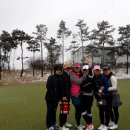 버들골프 이미지