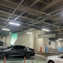 탄천종합운동장 주경기장 트랙 이미지