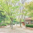 용동 어린이공원 이미지