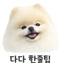 호수펫 | 파주 운정스타필드 애견동반 식사｜제스티살룬 펫라운지 후기