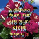 ❤️💃 영암 왕인박사 벛꽃 축제 3.25 ~ 4.2 까지 합니다 💃💖 이미지