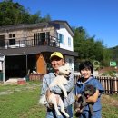 인식농장 이미지