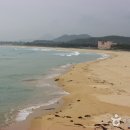 고성활어 이미지