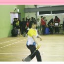 미르체육관 이미지