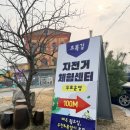 커피텐타 | 제천 초록길 자전거 대여체험