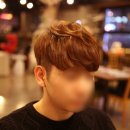 소프트헤어