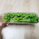 싱싱한 농업회사법인 주식회사 네이버블로그