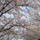 원신공원 이미지