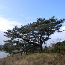 수산리-15 이미지