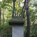 당숲 느티나무 앞 | [ 충북 ] 2019, 제천-충주 … 8. 충주 청룡사지