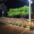 동춘당공원 맞은편 이미지