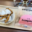 에스헤어하우스