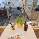 성수왕방힐링마을 | [서울 고양이 카페] 길고양이마을 성수협력점 | 성수 실내 데이트 힐링 후기