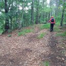 능선길 118 이미지