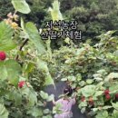 지석농장 이미지