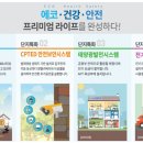 천일태양광발전