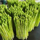 들길농장2 이미지