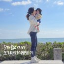로얄수족관 | 진에어 도어투도어, 본죽 실온이유식, 호텔 썬팰리스 큐요칸, 쿄다휴게소, 츄라우미수족관, 우미카지테라스