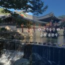 명성그린빌라 입구 | [여행](국가유산) 순천 송광사 계곡 배롱나무와 방문자여권 스탬프 위치