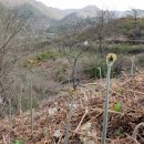 무진장농원 이미지