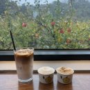 일미농원 | 전에 쓰는 당일치기 여행 포스팅/ 봉브레드-또만나식당-배배젤라또-민둥산-일미닭강정-뚱땡이김밥