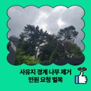 난곡동주민센터 | 사유지 경계 나무 제거 민원 요청 벌목